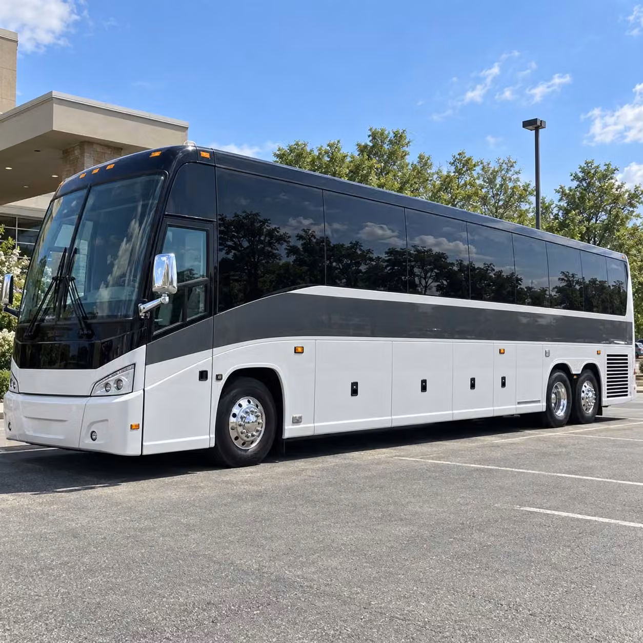corpus christi sports team transportation services